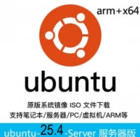乌班图ubuntu原版 Ubuntu 25.04 LTS 服务器版 64位