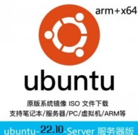乌班图ubuntu原版 Ubuntu 22.10 LTS 服务器版 64位