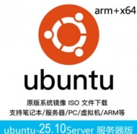乌班图ubuntu原版 Ubuntu 25.10 LTS 服务器版 64位