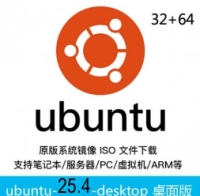 乌班图ubuntu原版 25.04-desktop 桌面版 64位