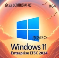 原版 Windows 11 企业长期服务版 LTSC 2024 64位